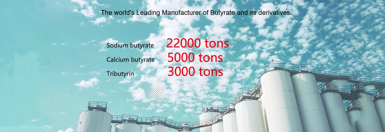 ナトリウムブチ酸塩粉