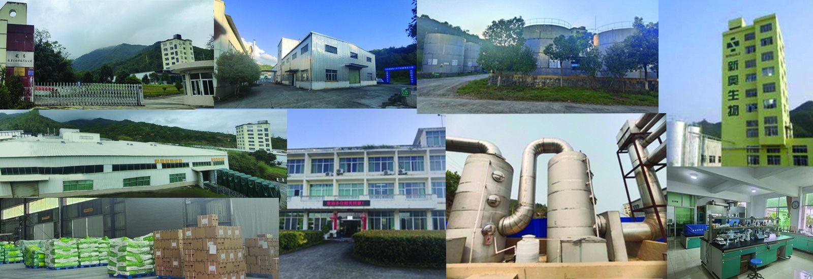 短鎖脂肪酸 バチラート