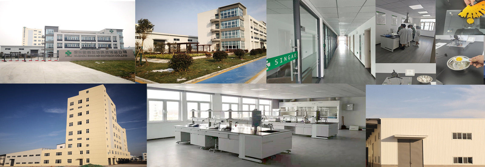 コートされたナトリウムブチラート