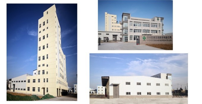 Singao (Xiamen) Agribusiness Development Co., Ltd. 工場生産ライン