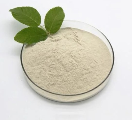 BACILLUS SUBTILIS 90% C4H7O2Naナトリウムの酪酸塩はCAS 156-54-7を粉にする