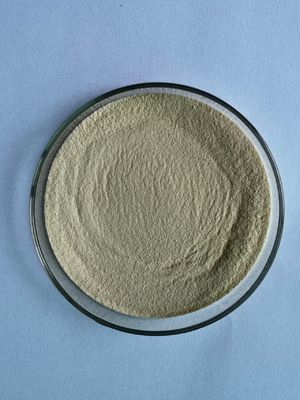 脂肪含有量 53% DHA を豊富に含んでいる微小封筒化脂肪