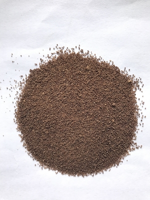 プロバイオティクス Clostridium butyricum